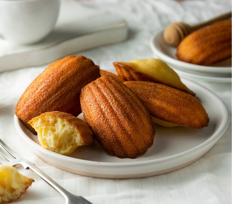 Golden sponge cake slice with powdered sugar, showcasing reduced-egg bakery formulation