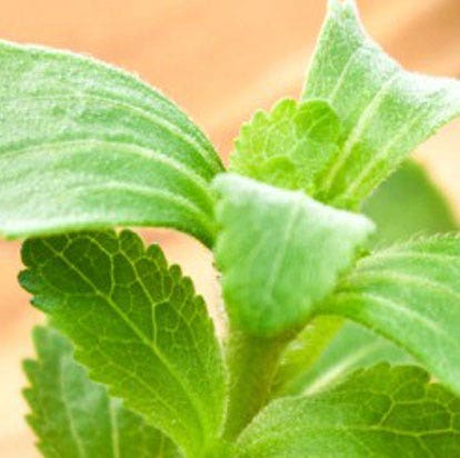 PureCircle Stevia Solutions