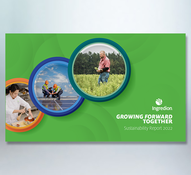 Reporte de Sustentabilidad 2022