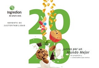 2020 Reporte Sustentabilidad